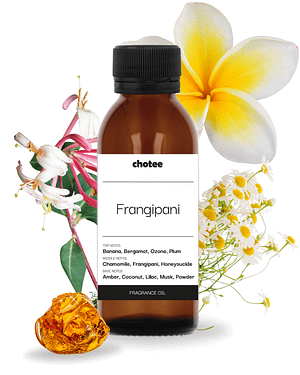 Frangipani